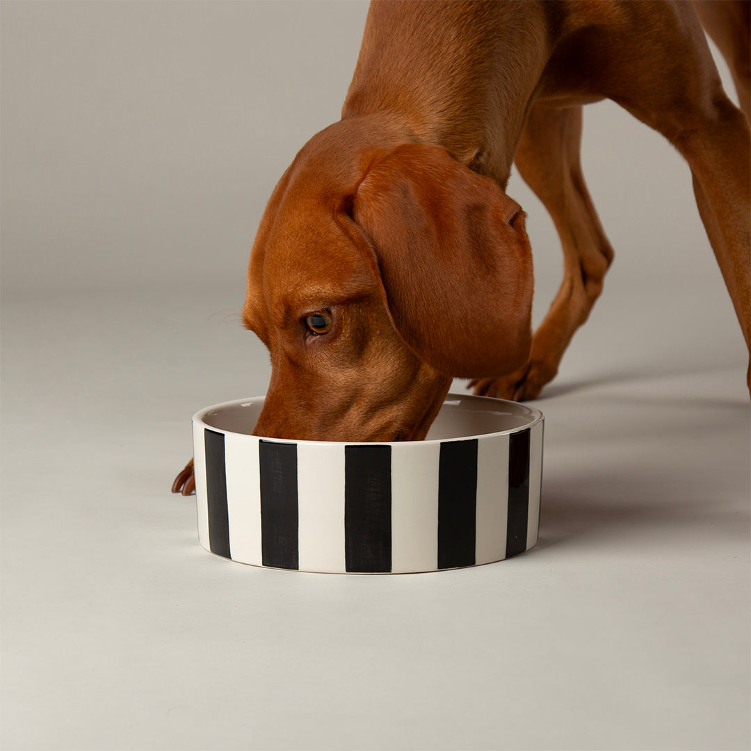 Scruffs Amalfi Stripe Food Bowl 15cm Black