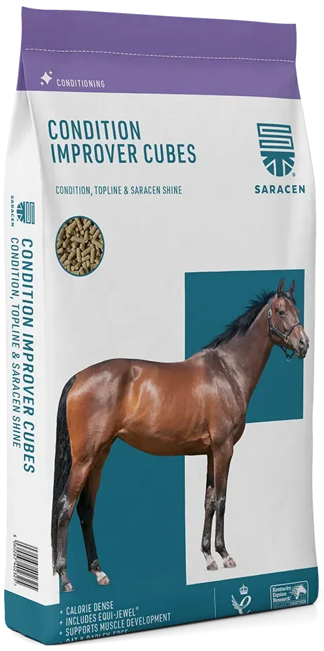 Saracen Condition Improver Cubes - 20Kg