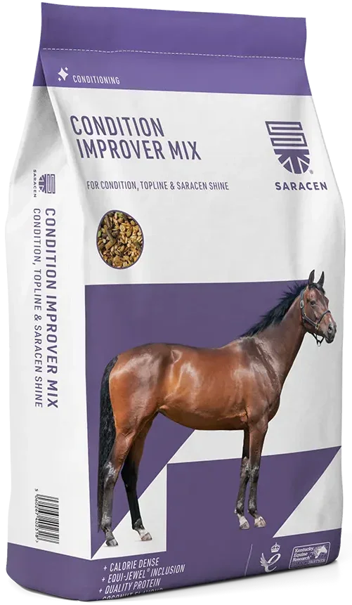 Saracen Condition-Improver Mix Horse Feed 20 kg