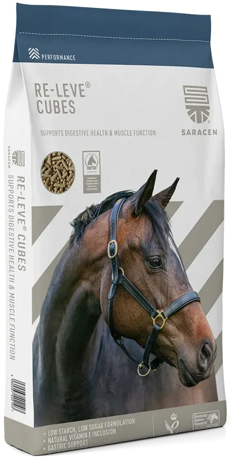 Saracen Re-Leve Cubes 20kg