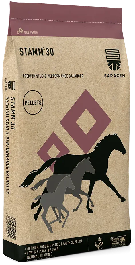 Saracen Stamm 30 Stud & Performance Horse Feed Balancer 20kg