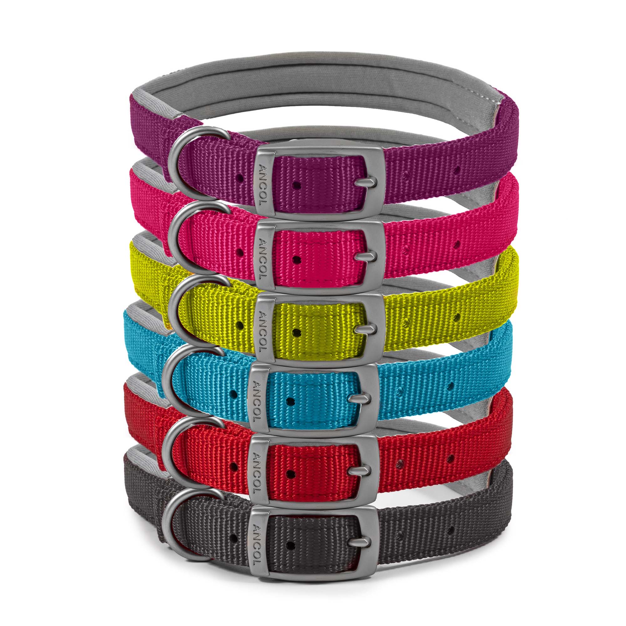 Ancol Viva padded dog collar in red, size 4 for 35–43cm necks