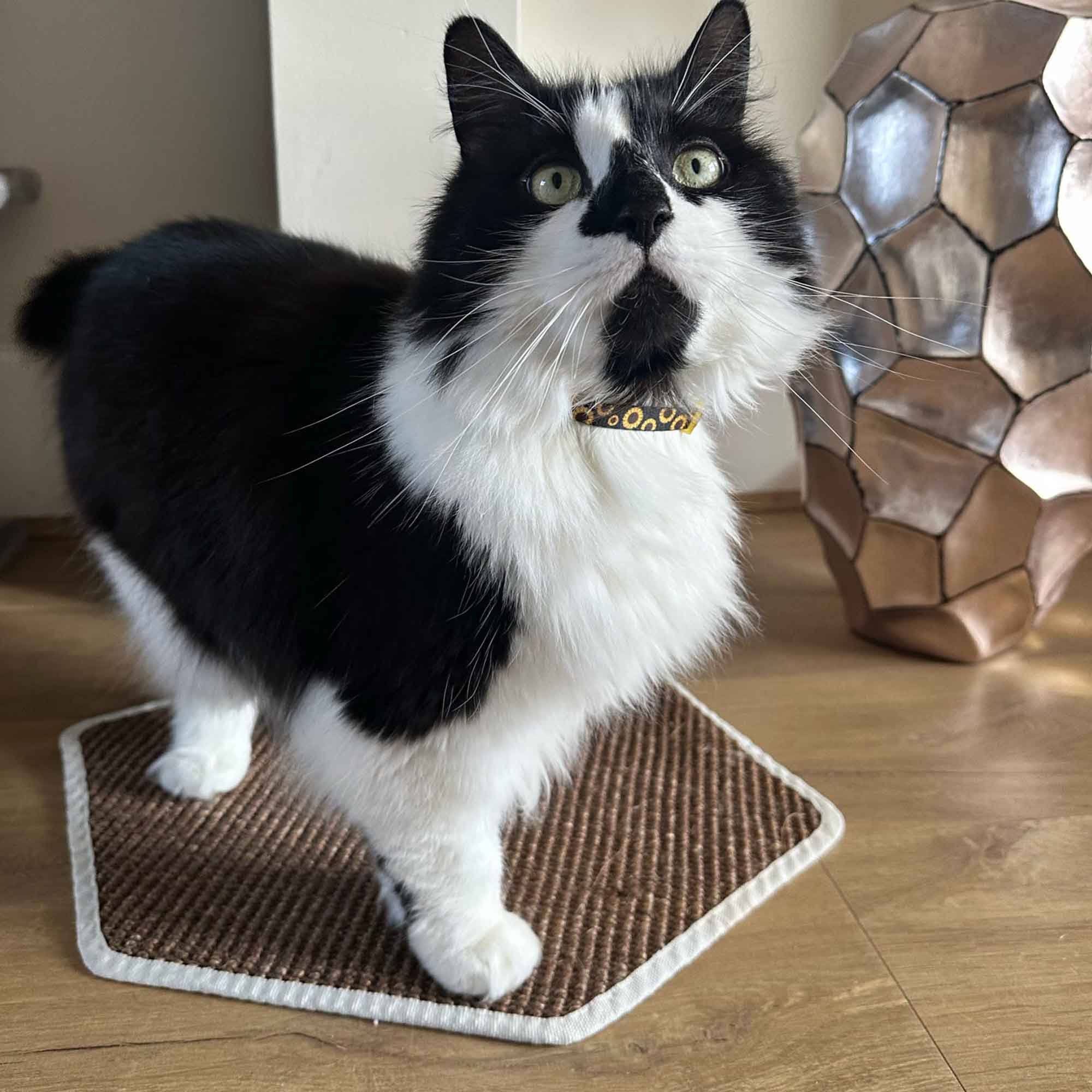 Ancol Hanging Cat Scratcher – Natural Sisal Scratching Mat, Hang or Lay Flat