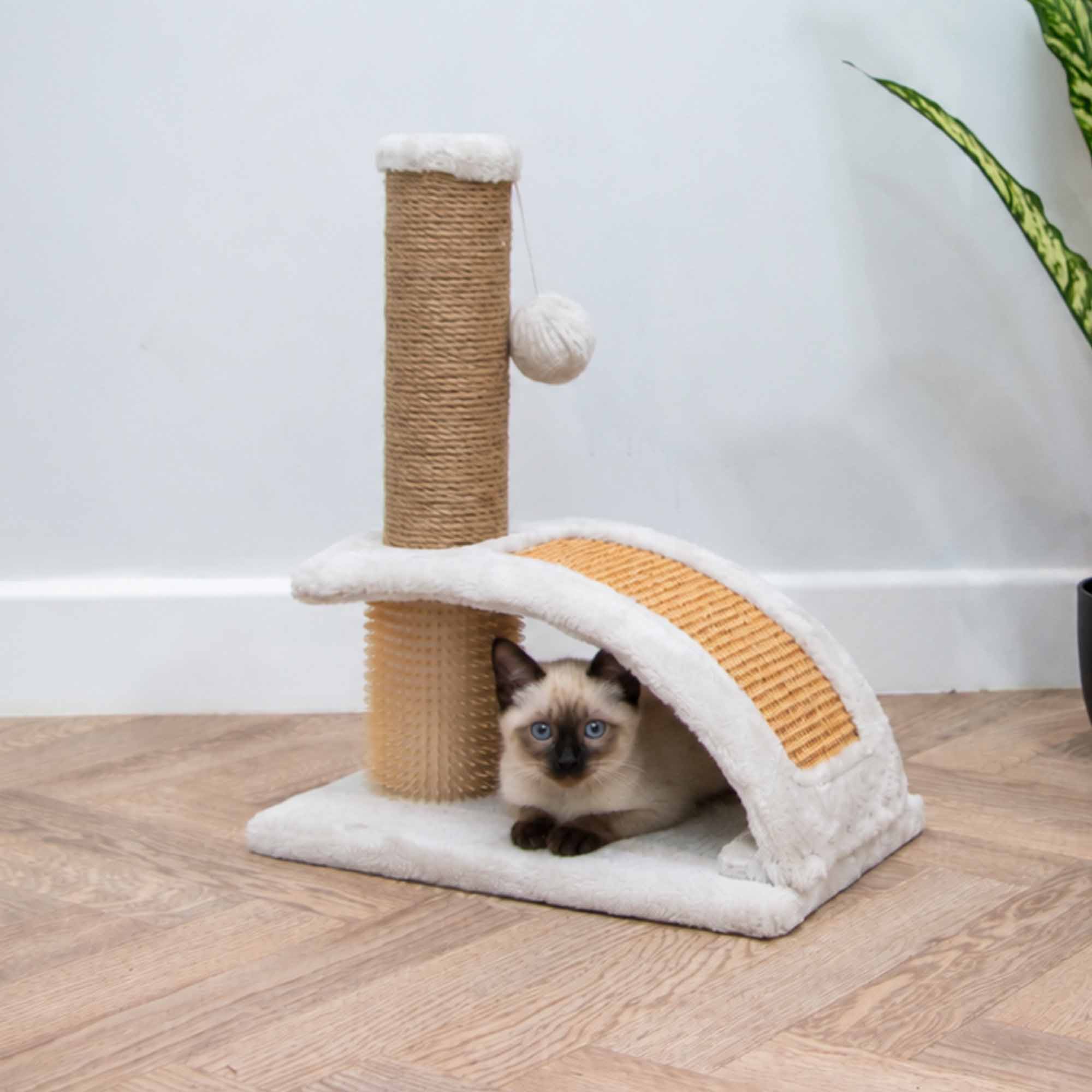 Siamese-type cat resting under the arch of the Ancol scratch post