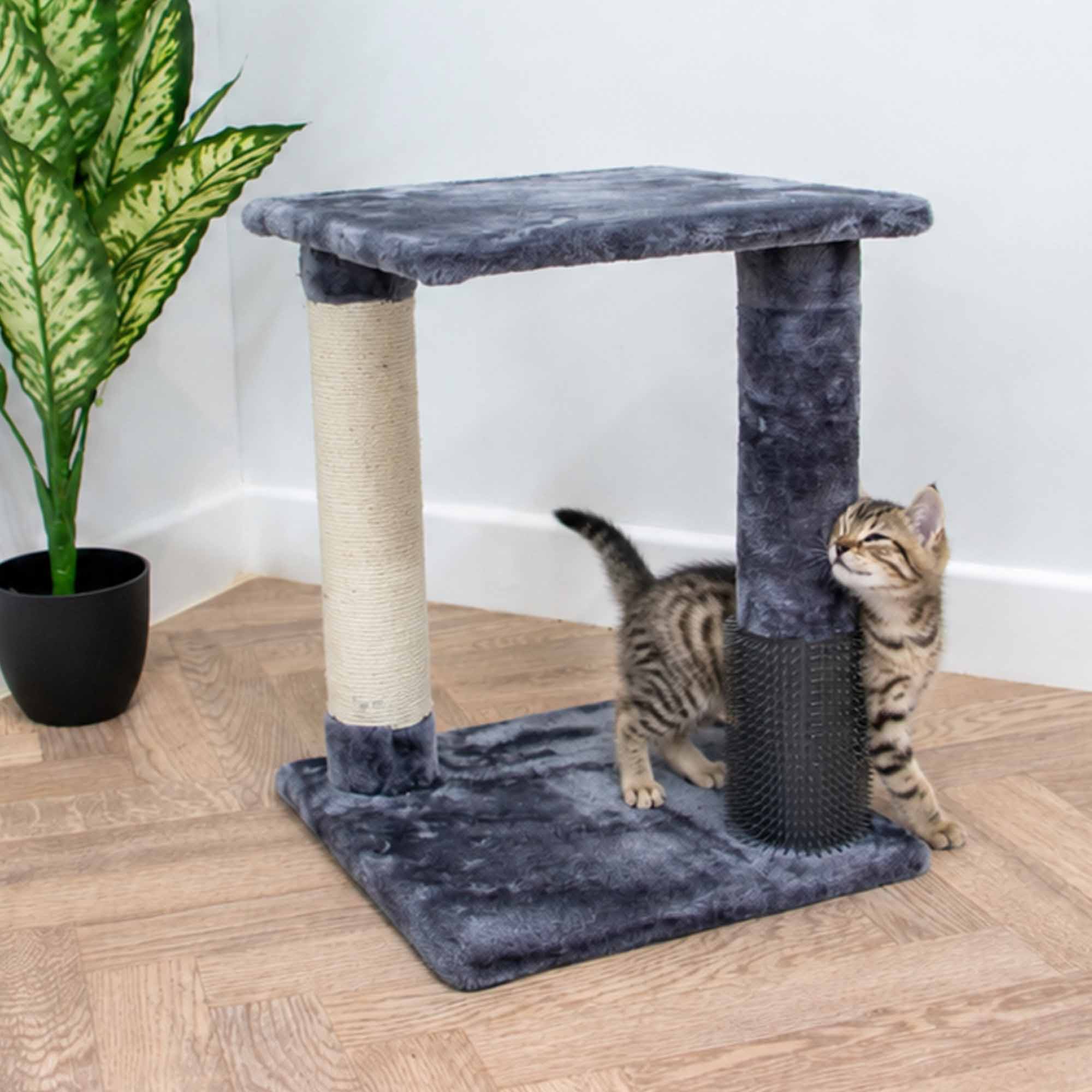 Bengal kitten rubbing against the grooming brush pillar