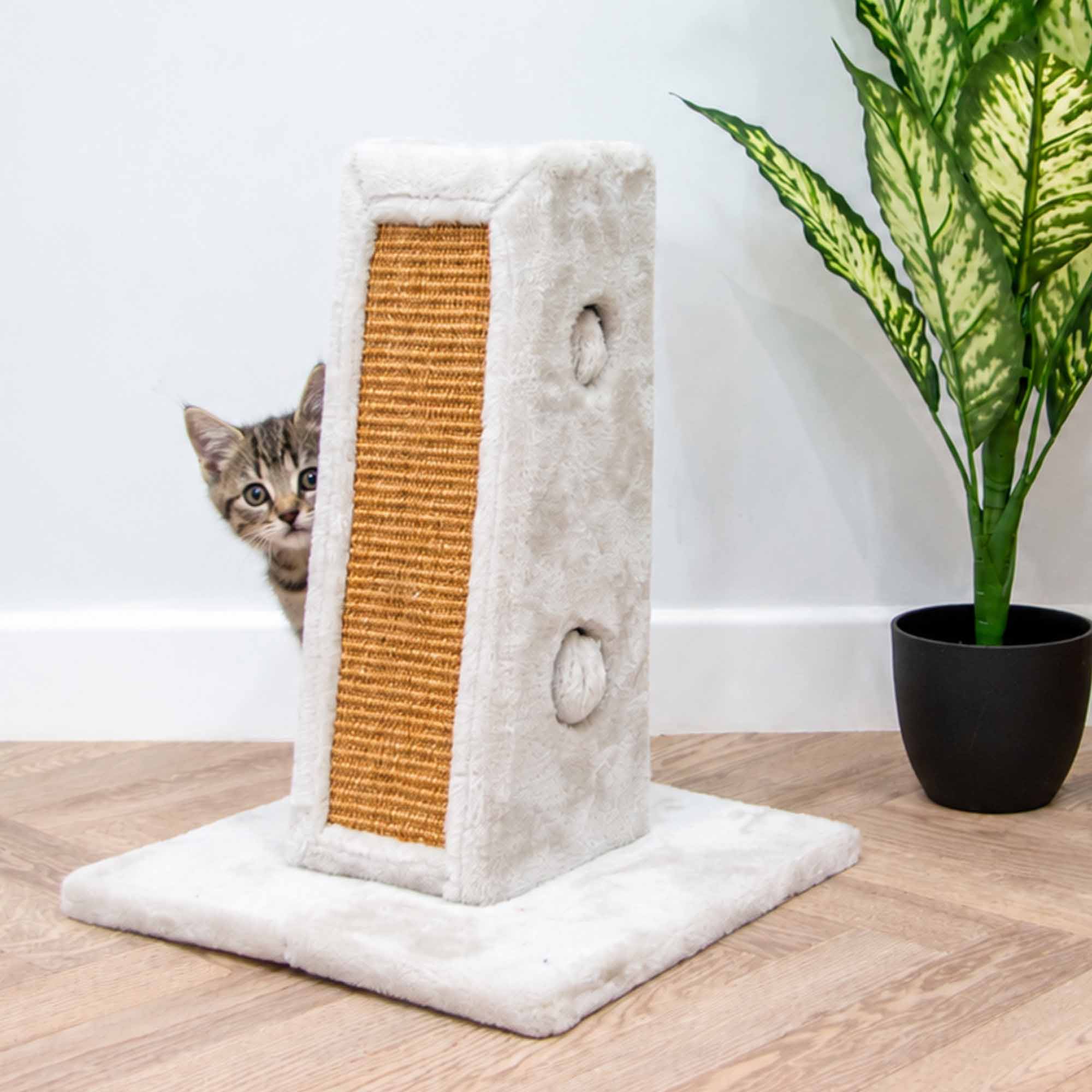 Tabby kitten peeking around the side of the scratch tower