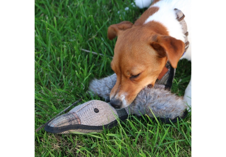 Ancol Heritage Tweed Duck alternate view
