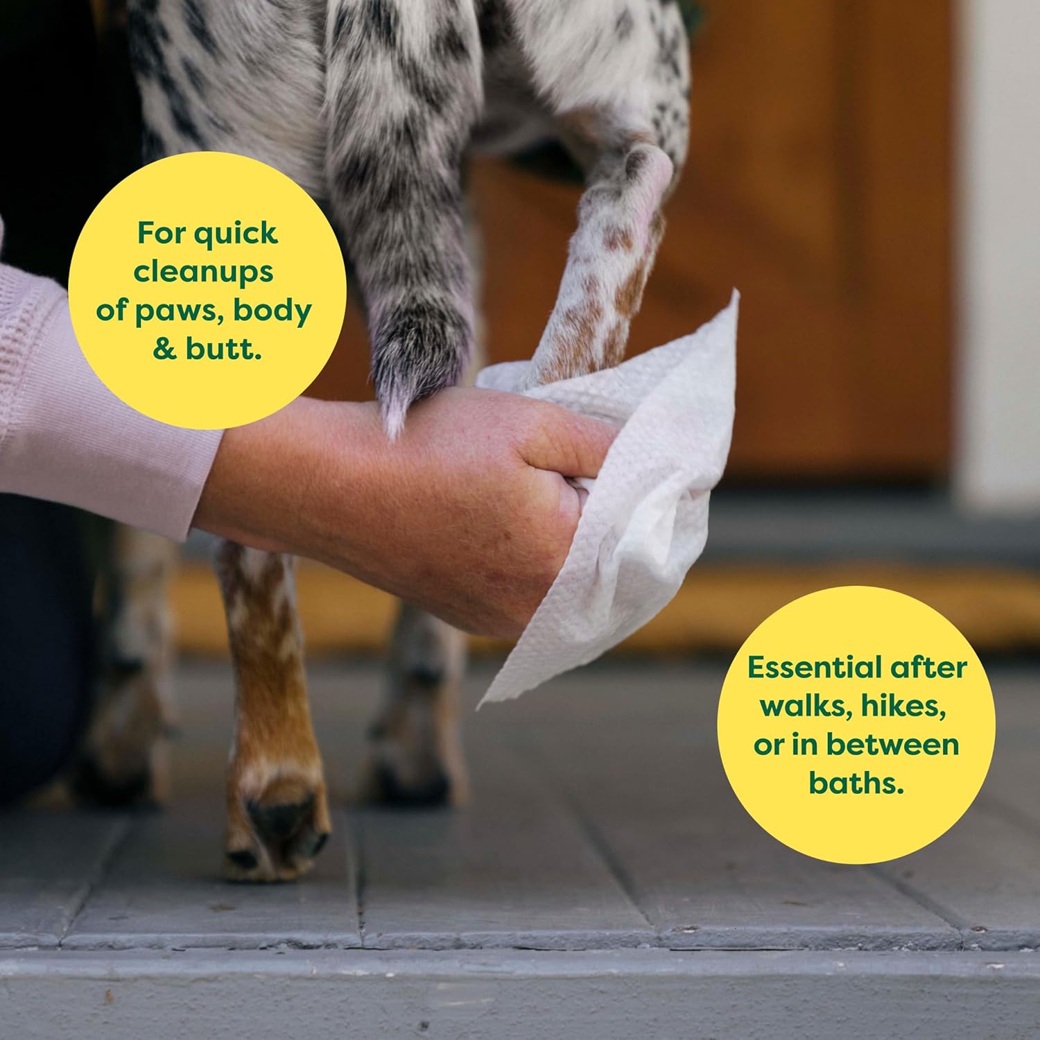 Earth Rated Lavender Scented Grooming Wipes 100 Pack - Compostable Pet Wipes