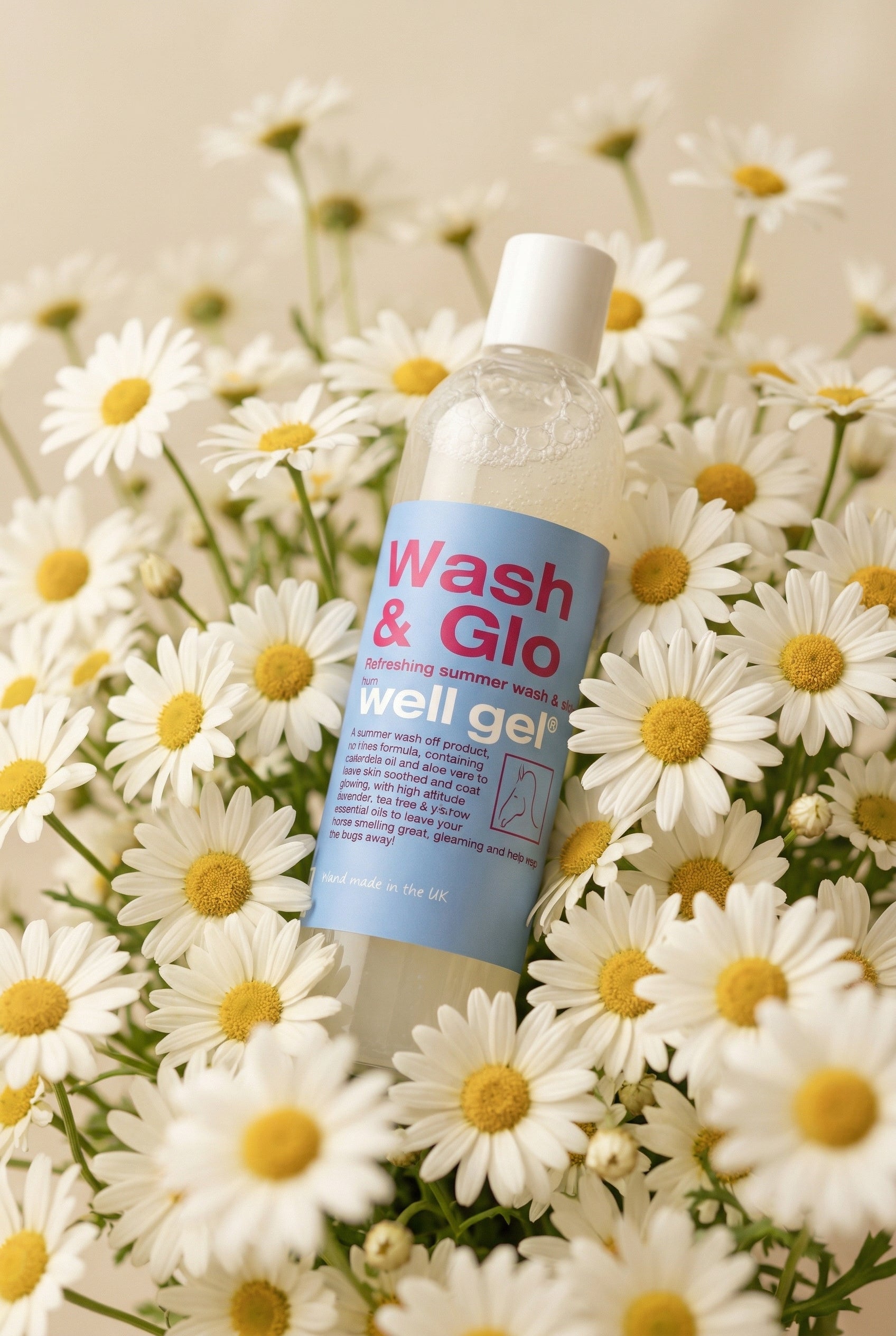 Well Gel Wash & Glo 300g no-rinse coat wash
