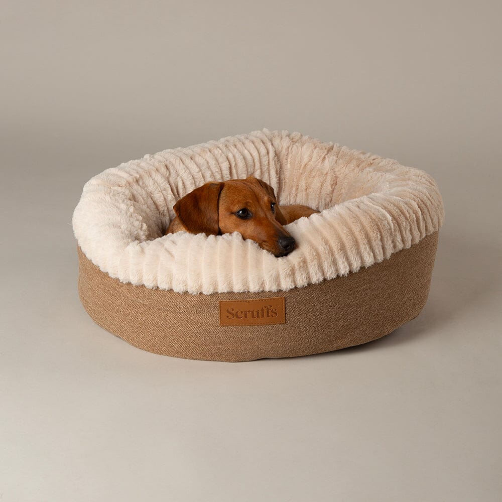 Scruffs Ellen Donut Bed – Grey, Medium 55cm