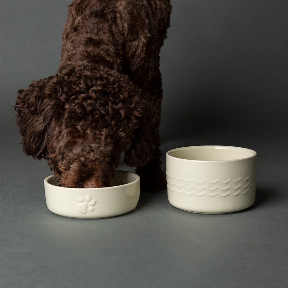 Scruffs Icon Water Bowl 15cm – Cream