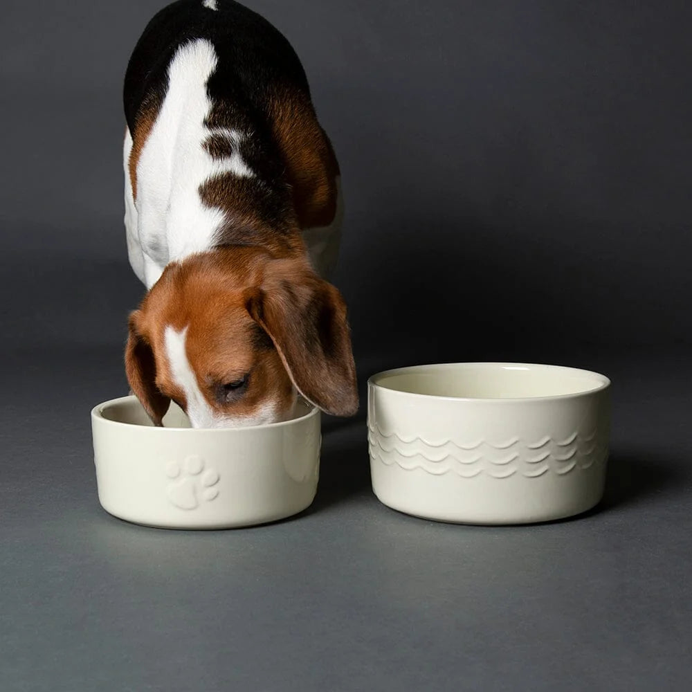 Scruffs Icon 2 Piece Pet Food & Water Bowl Set - 19cm Cream