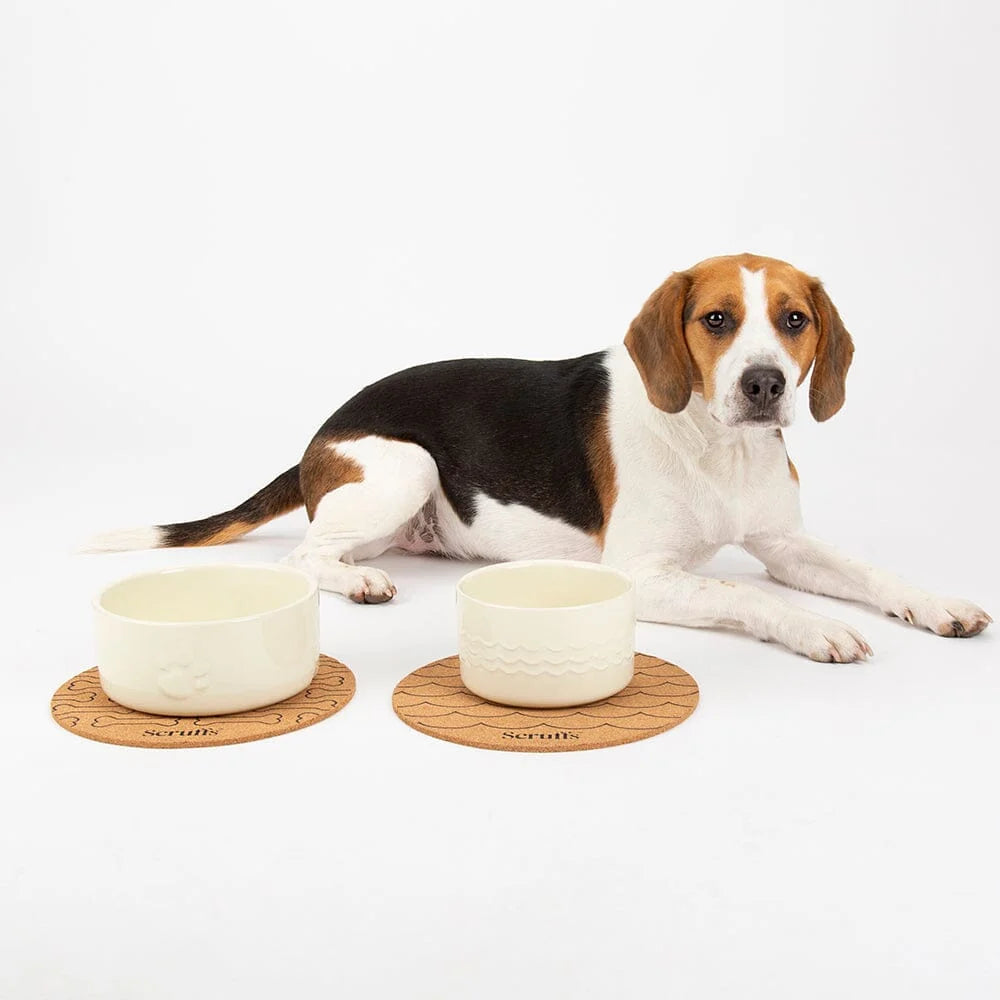 Scruffs Icon 2 Piece Pet Food & Water Bowl Set - 19cm Cream