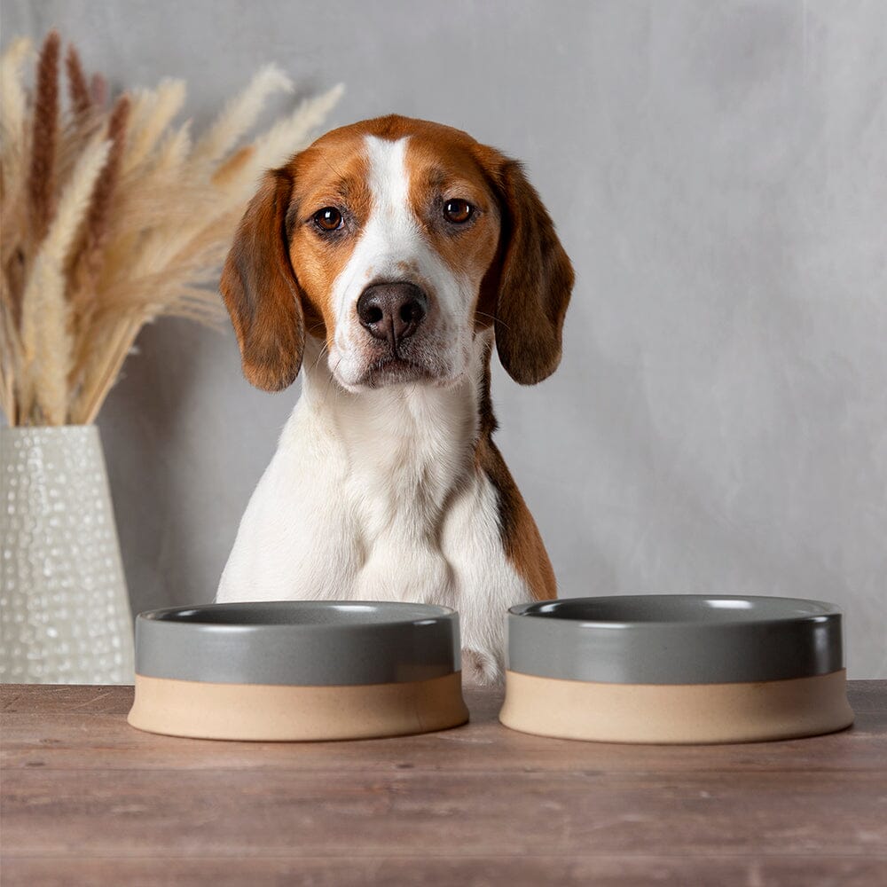 Scruffs Scandi Non-Tip Pet Saucer – Grey