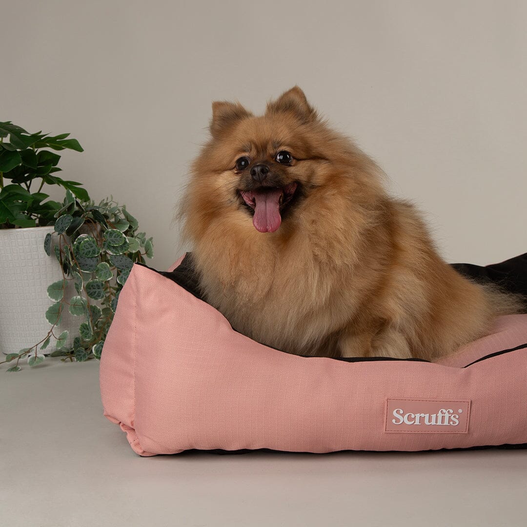 Scruffs Expedition Box Bed Large – Rose Quartz 75cm x 60cm