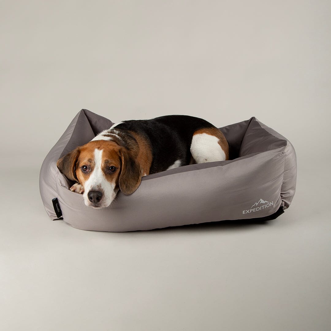 Scruffs Expedition Box Bed – Water-Resistant, Graphite Large 75 x 60cm