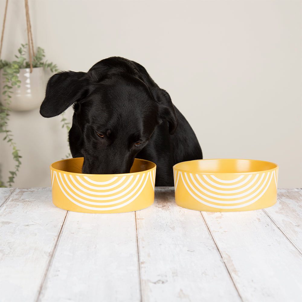 Scruffs Aztec Food Bowl 15cm Sunflower