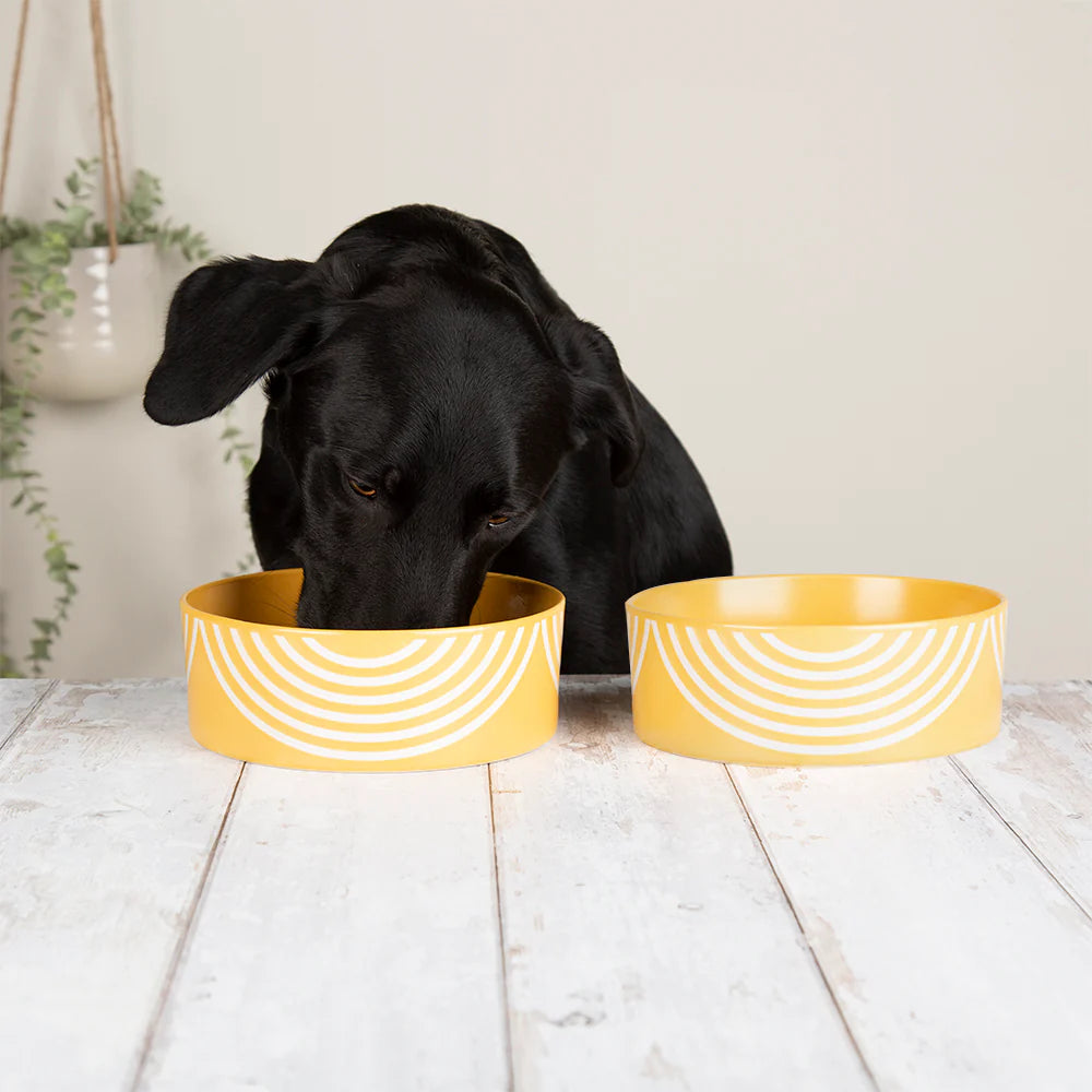 Scruffs Aztec Dog Food Bowl 19cm Sunflower