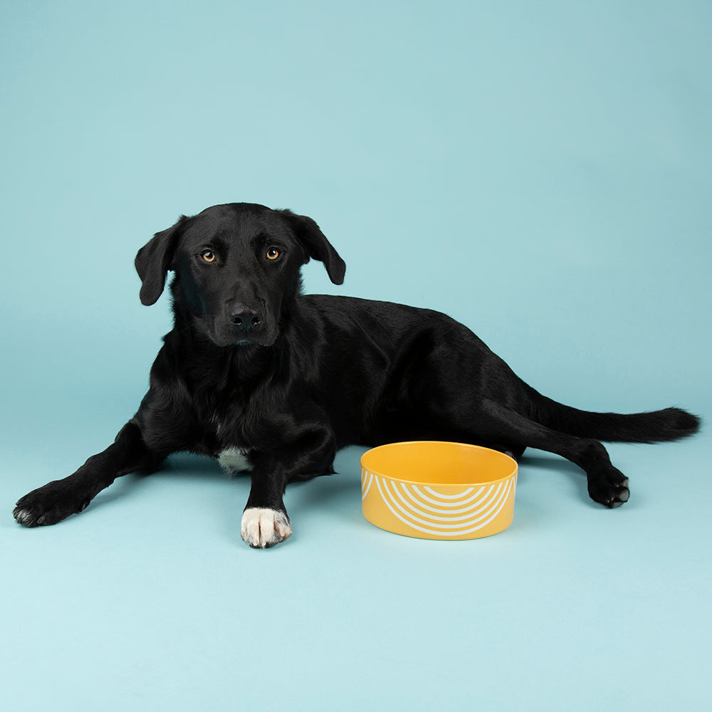 Scruffs Aztec Food Bowl 15cm Sunflower
