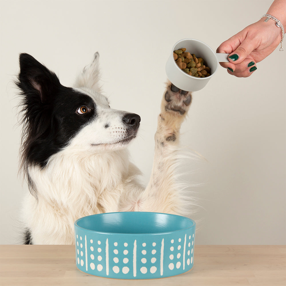 Scruffs Aztec Dog Food Bowl 15cm Turquoise