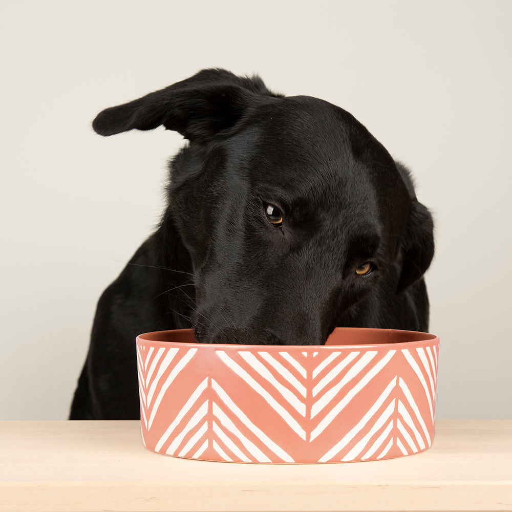 Scruffs Aztec Dog Food Bowl 15cm Terracotta