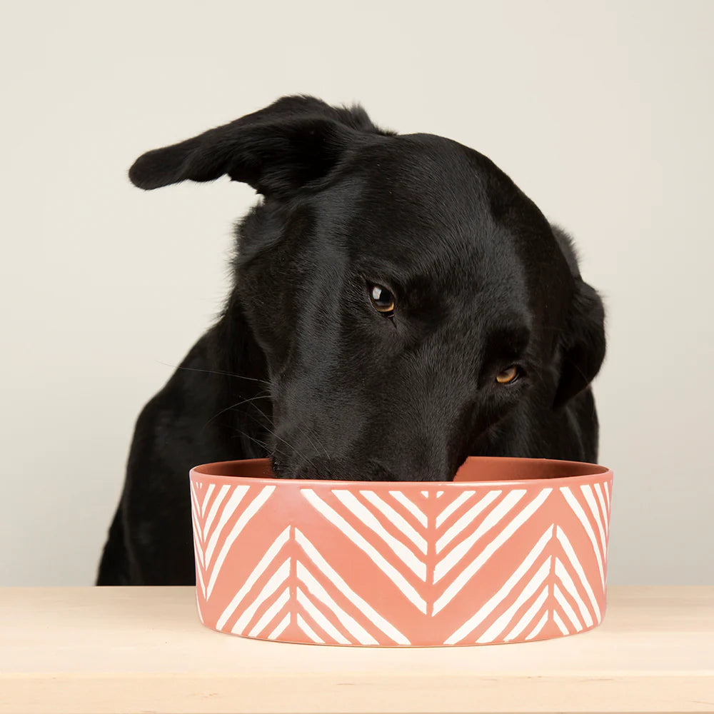 Scruffs Aztec Dog Food Bowl 19cm Terracotta