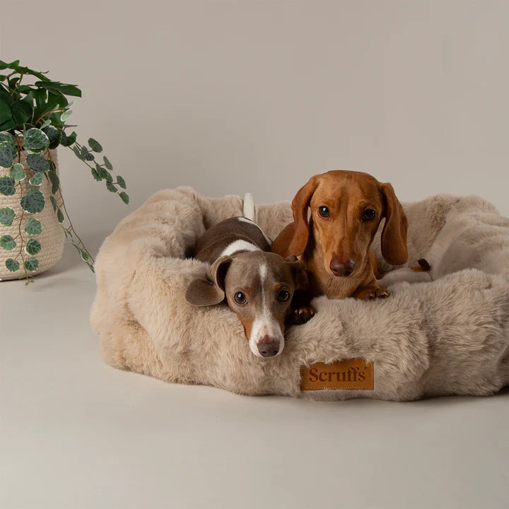 Scruffs Alpine Box Bed – Medium Champagne
