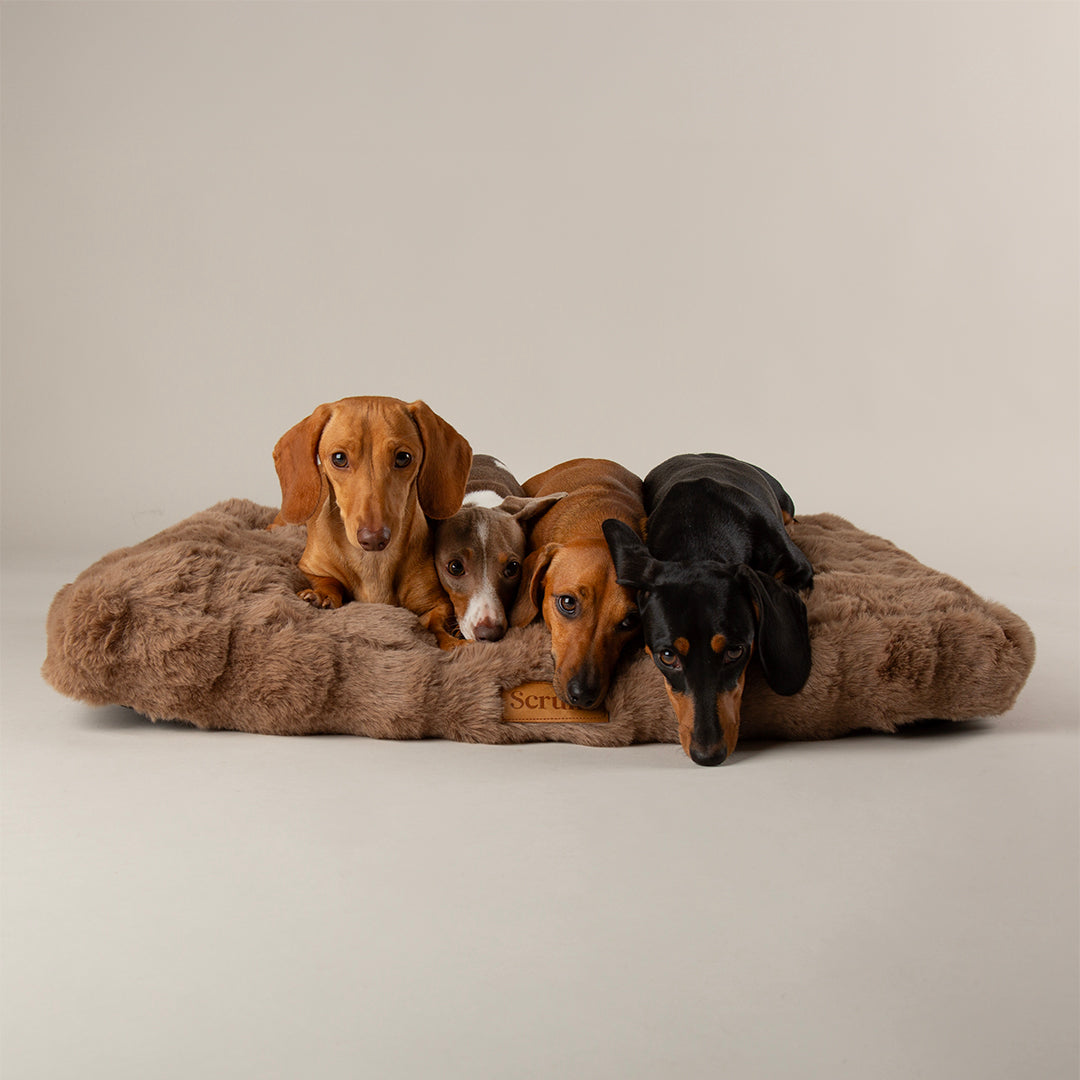 Scruffs Alpine Mattress Taupe XL Luxury Dog Bed, Thick Faux Fur, 100% Recycled Fill, Non-Slip Base, Machine Washable