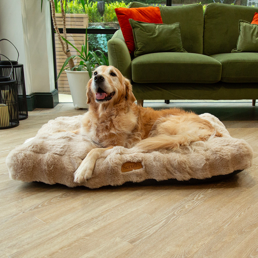 Scruffs Alpine Mattress Champagne Large Luxury Dog Bed, Thick Faux Fur, 100% Recycled Fill, Non-Slip Base, Machine Washable