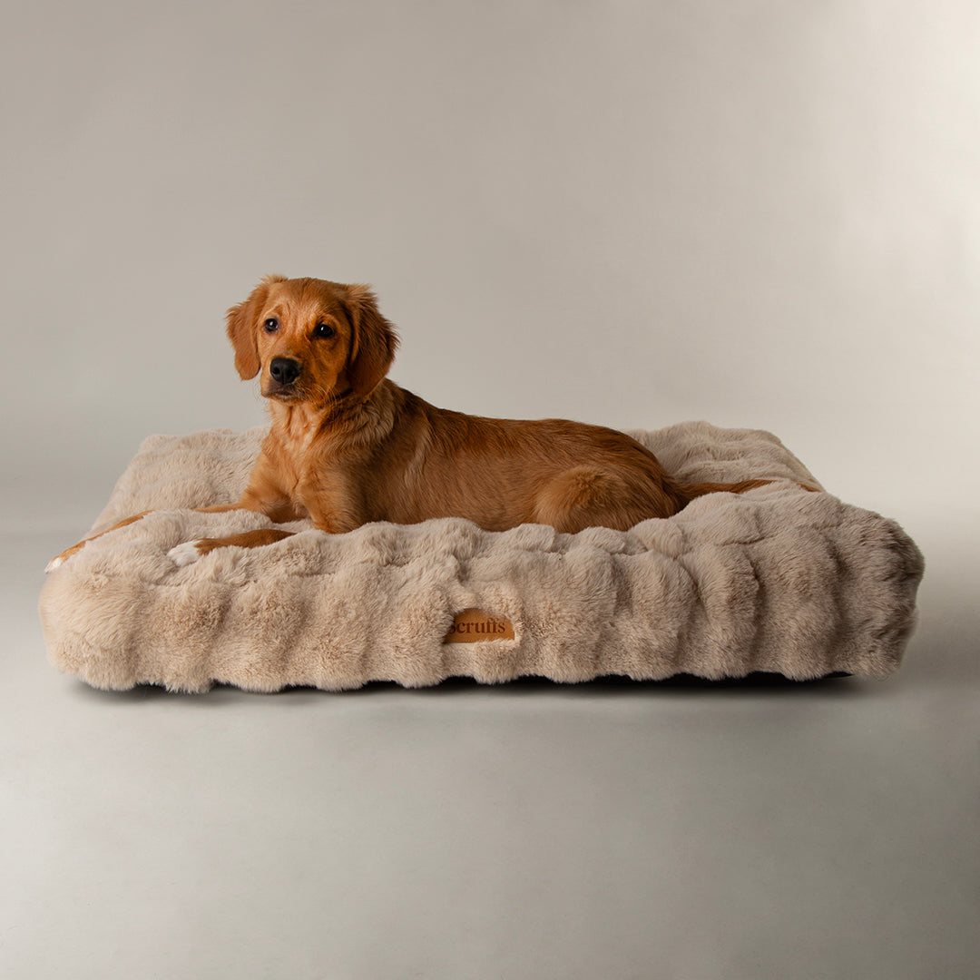 Scruffs Alpine Mattress Taupe Large Luxury Dog Bed, Thick Faux Fur, 100% Recycled Fill, Non-Slip Base, Machine Washable
