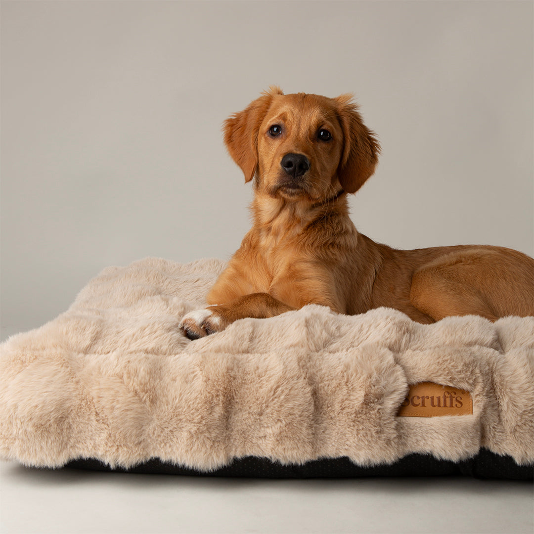 Scruffs Alpine Mattress Champagne Large Luxury Dog Bed, Thick Faux Fur, 100% Recycled Fill, Non-Slip Base, Machine Washable