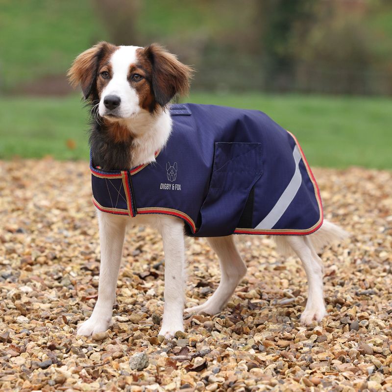 Digby & Fox Lite Waterproof Dog Coat Navy M