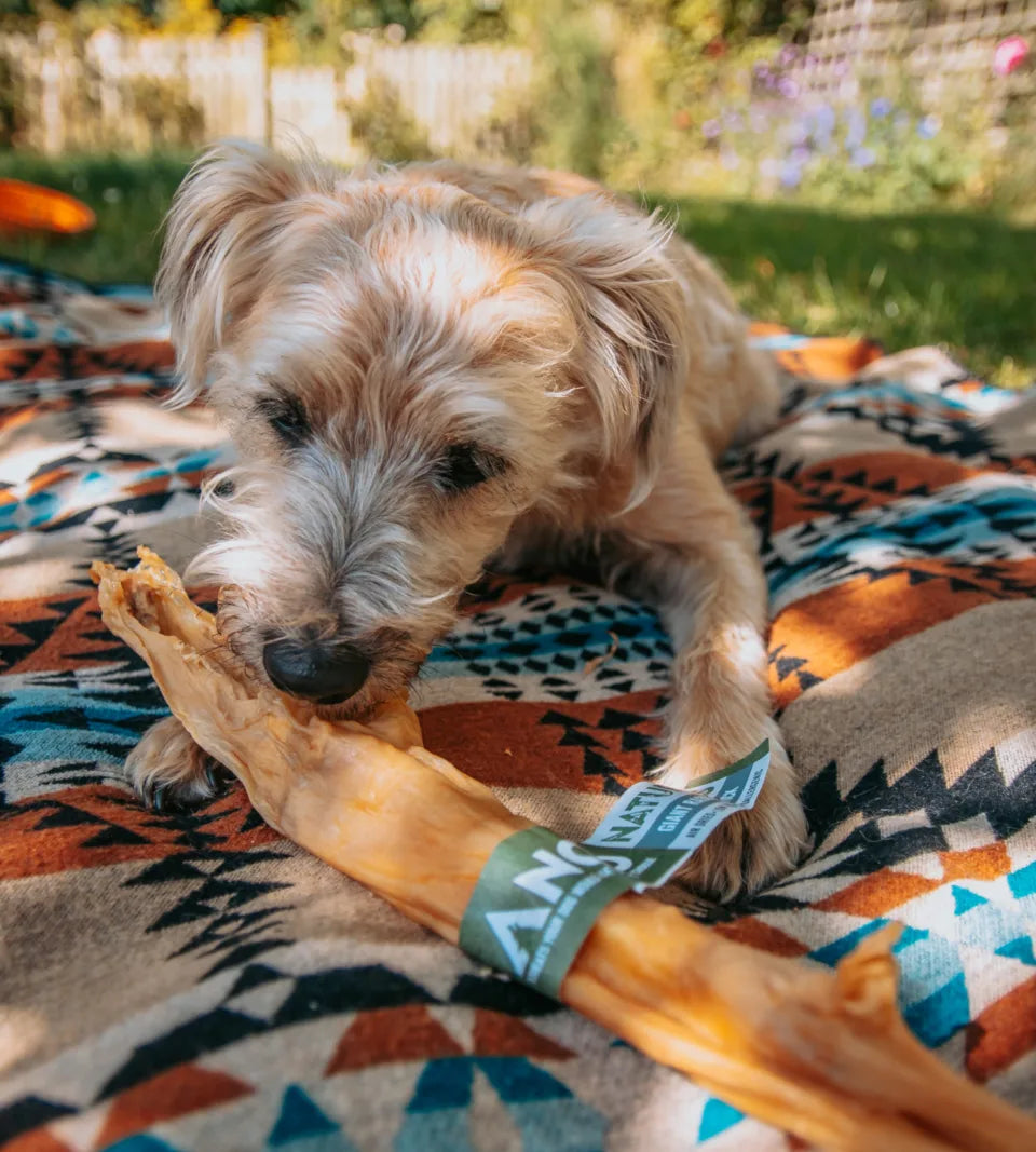 Anco Naturals Giant Rabbit Stick Dog Treat – 100% Natural, Hypoallergenic Low-Cholesterol Chew