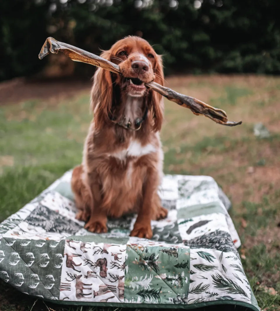 Anco Naturals Hairy Red Deer Sticks Dog Treats – 100% Natural Deer x10