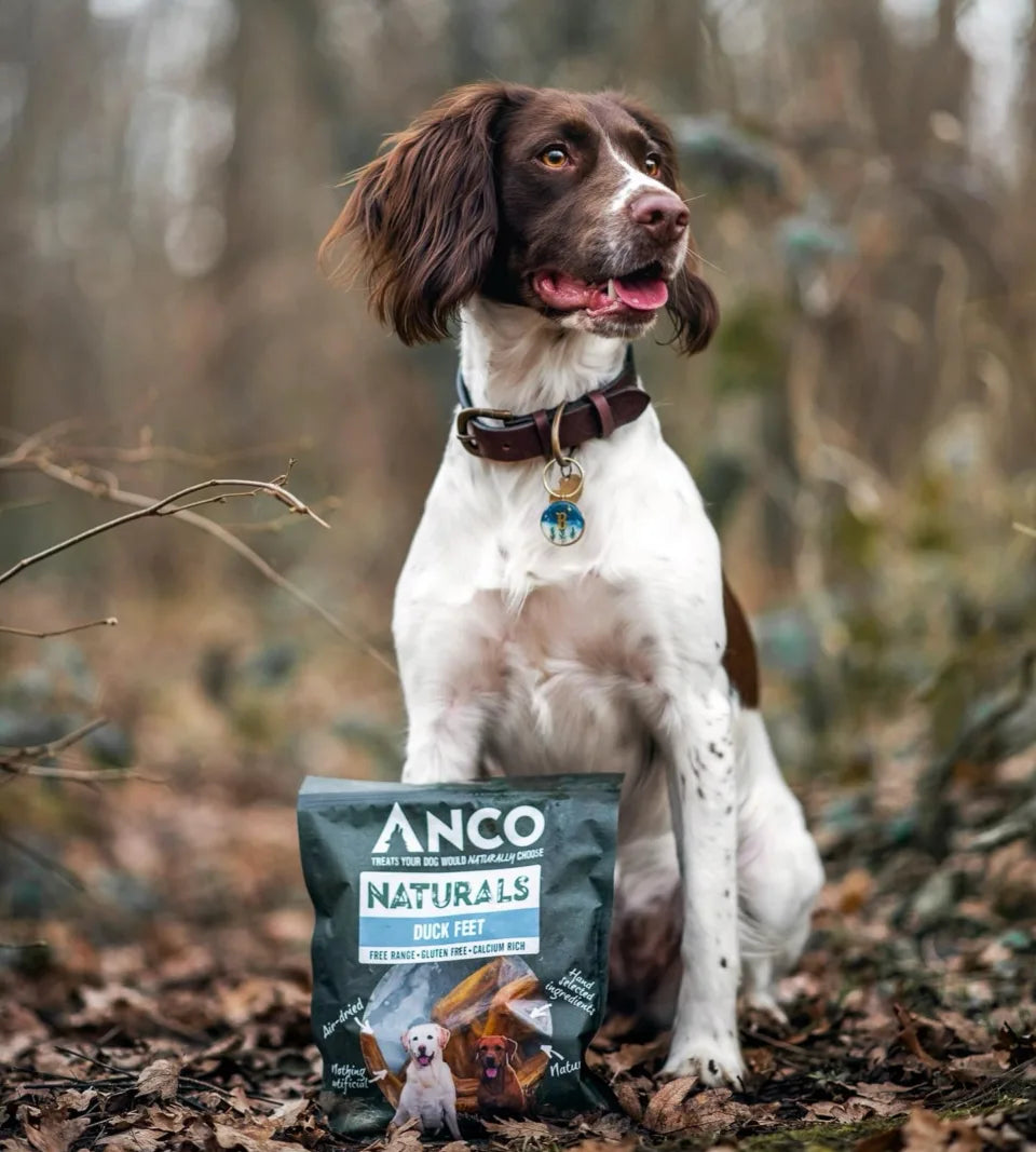 Anco Naturals Duck Feet Dog Treats 100g – Air-Dried, Glucosamine-Rich Chews