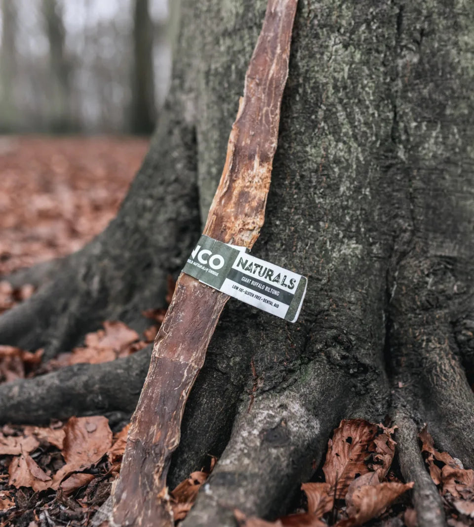 Anco Naturals Giant Buffalo Biltong Dog Treat – 100% Natural Buffalo Protein