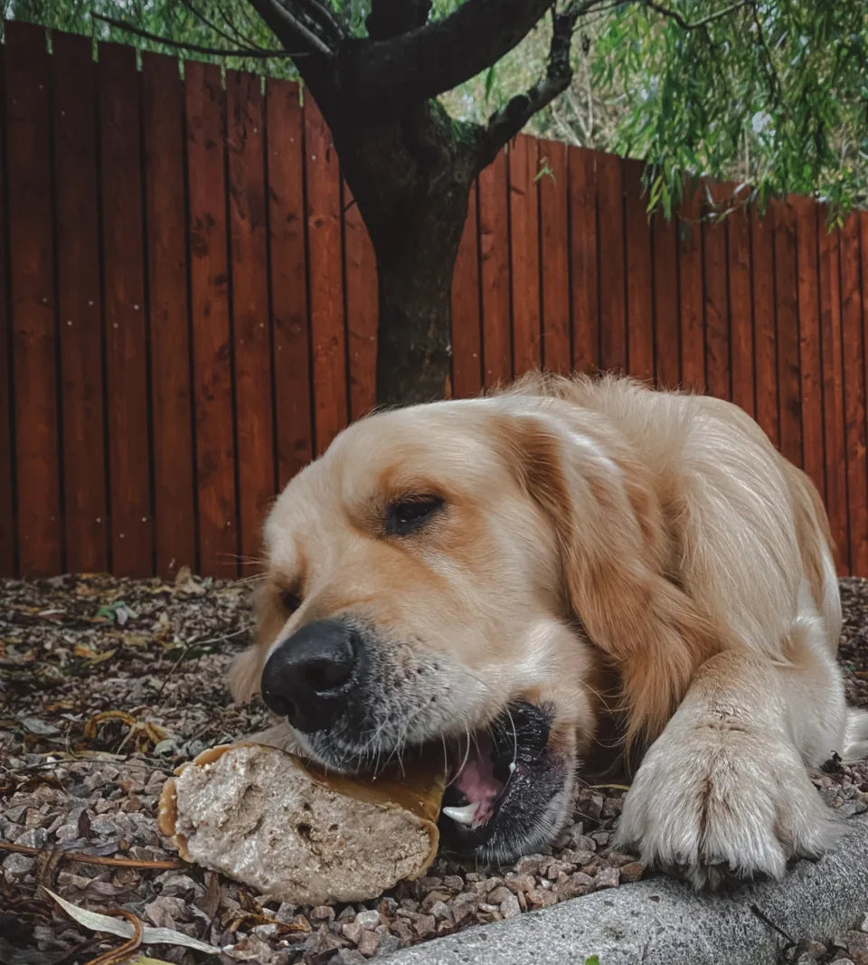 Anco Naturals Meat Filled Hooves Dog Treat – Natural Chew with Beef Filling