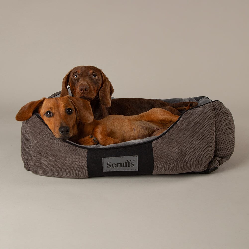 Scruffs Chester Box Bed – Graphite, Medium 60 x 50 x 16cm