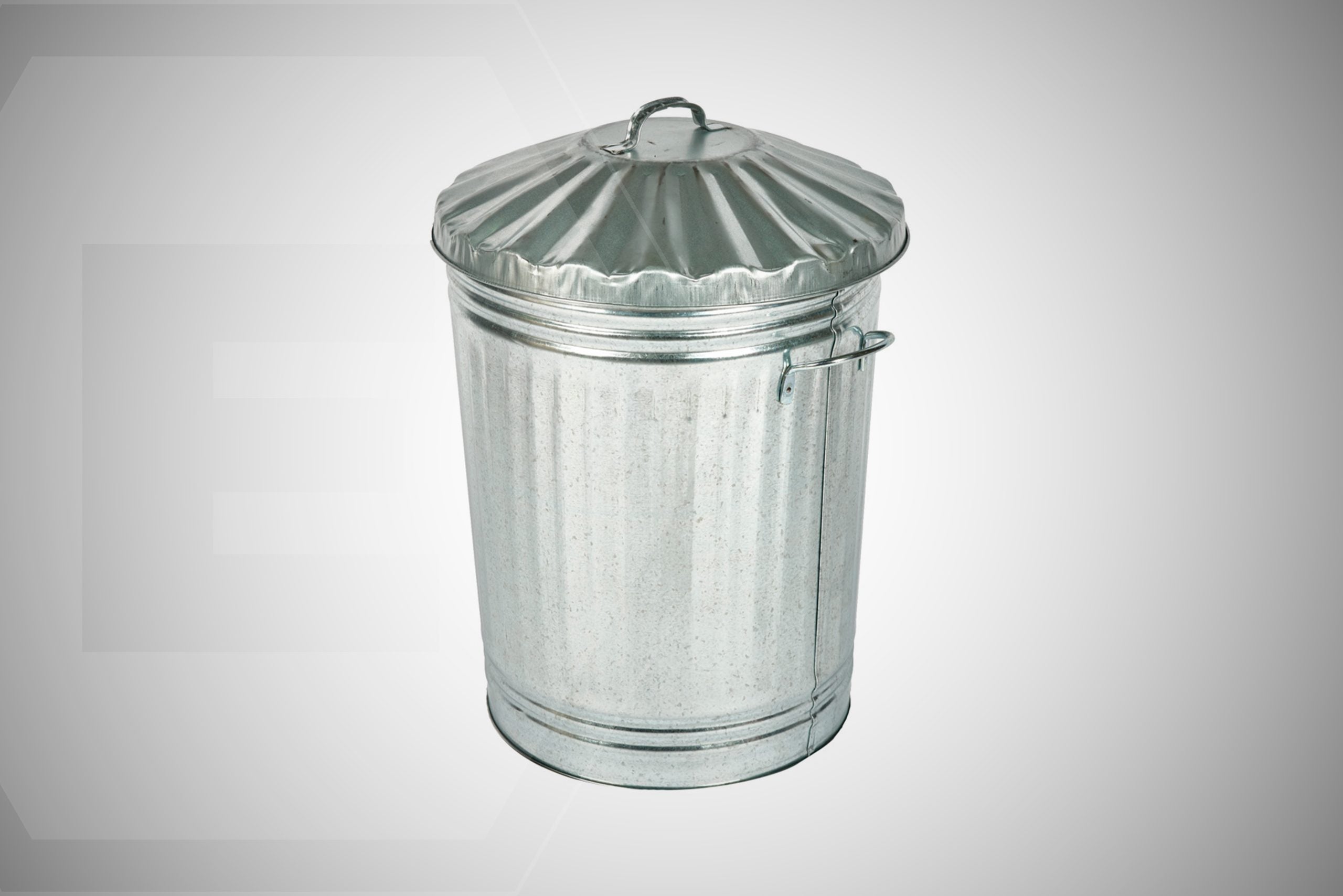 Earlswood Galvanised Dustbin