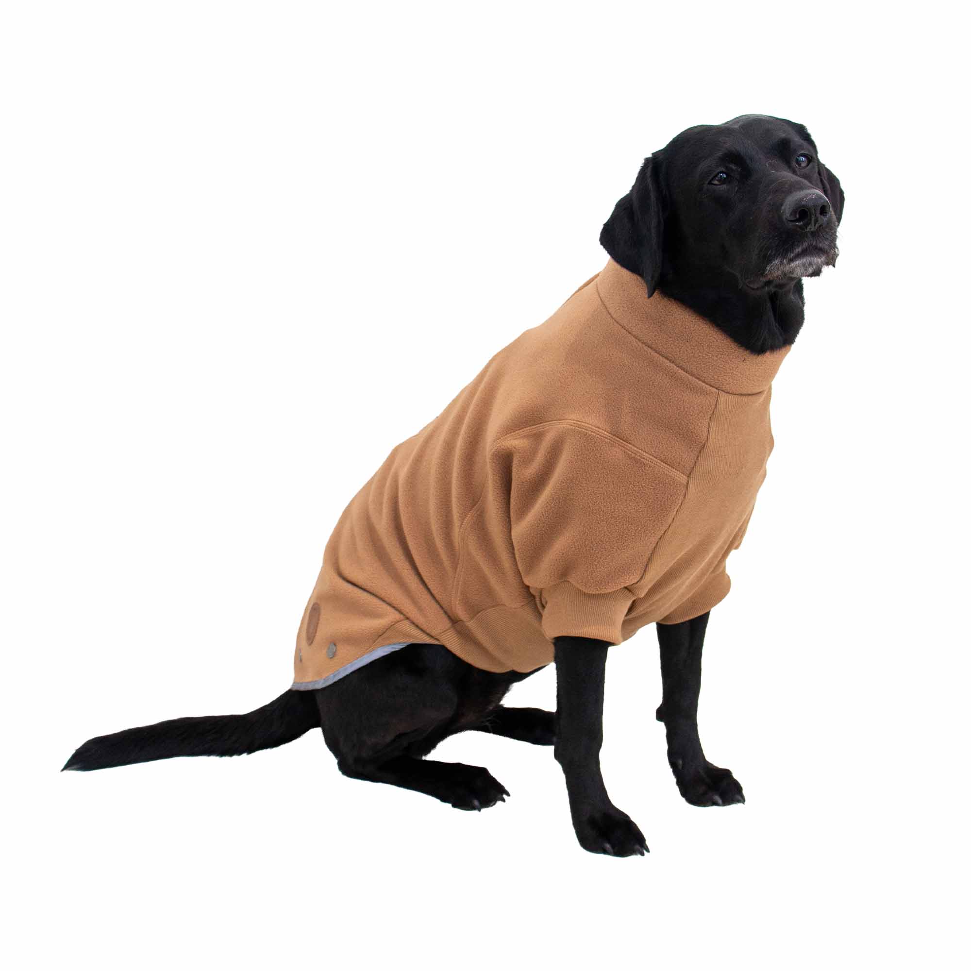 Black Labrador wearing the camel Ancol Snug Fit polar fleece jumper, side view