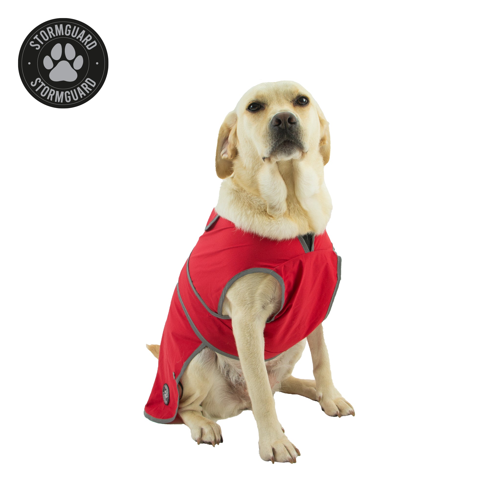 Ancol Stormguard Soft Shell dog coat in bordeaux, large, 50cm back length
