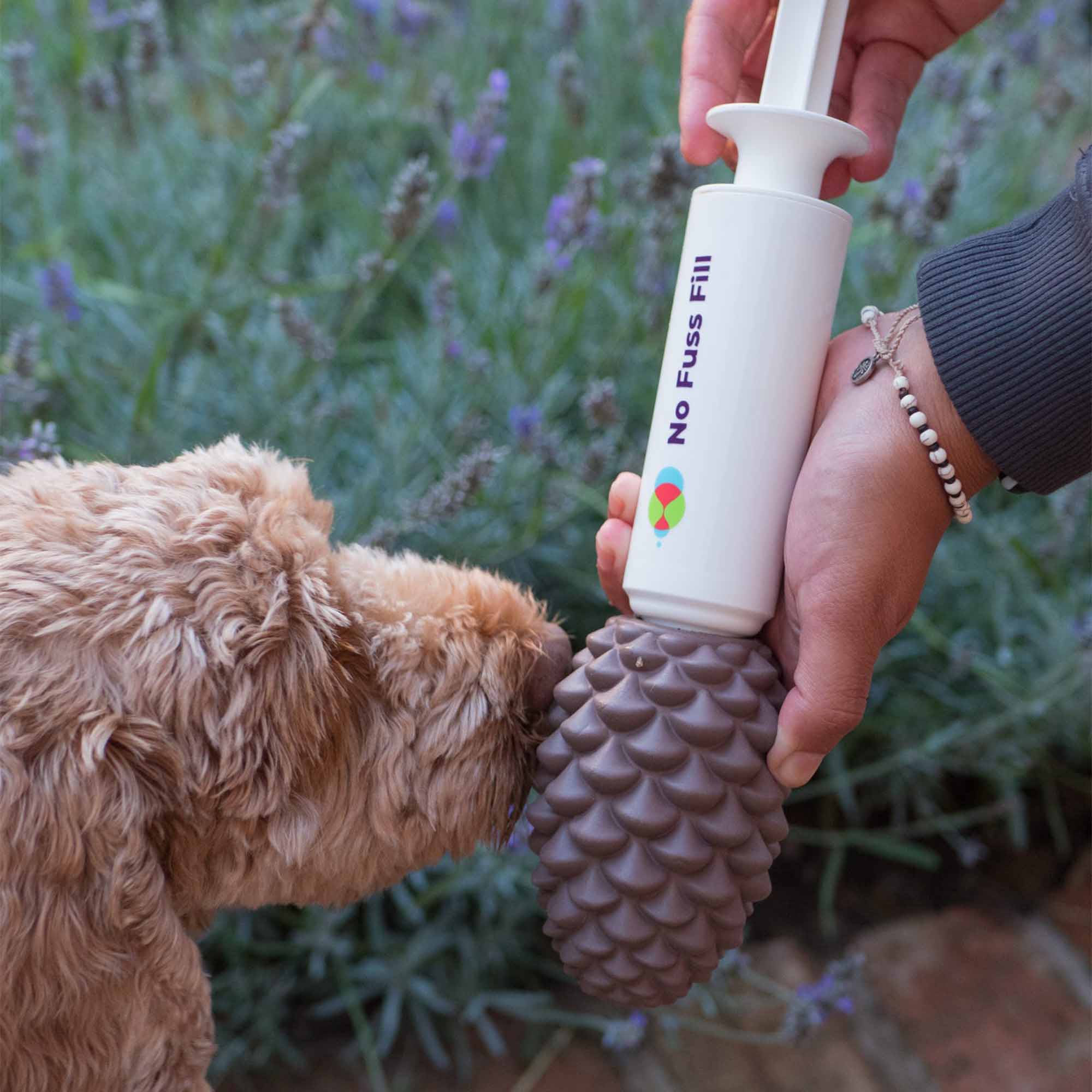 Owner filling the Örva pine cone with Ancol's No Fuss Fill tool as a dog waits