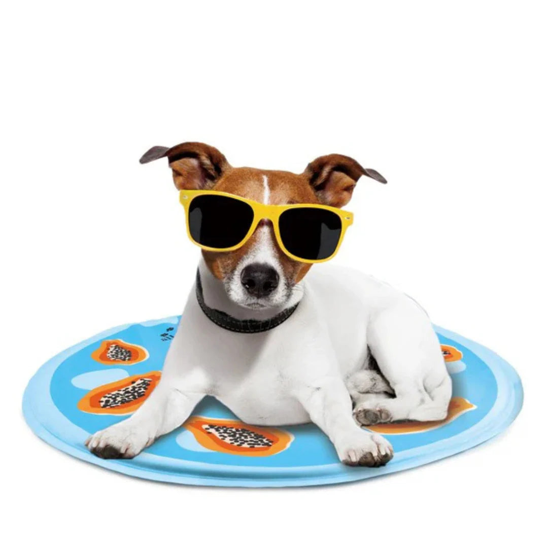 All For Paws Chill Out Papaya Cooling Mat 60x60cm - Self-Cooling Dog Mat for Summer Comfort