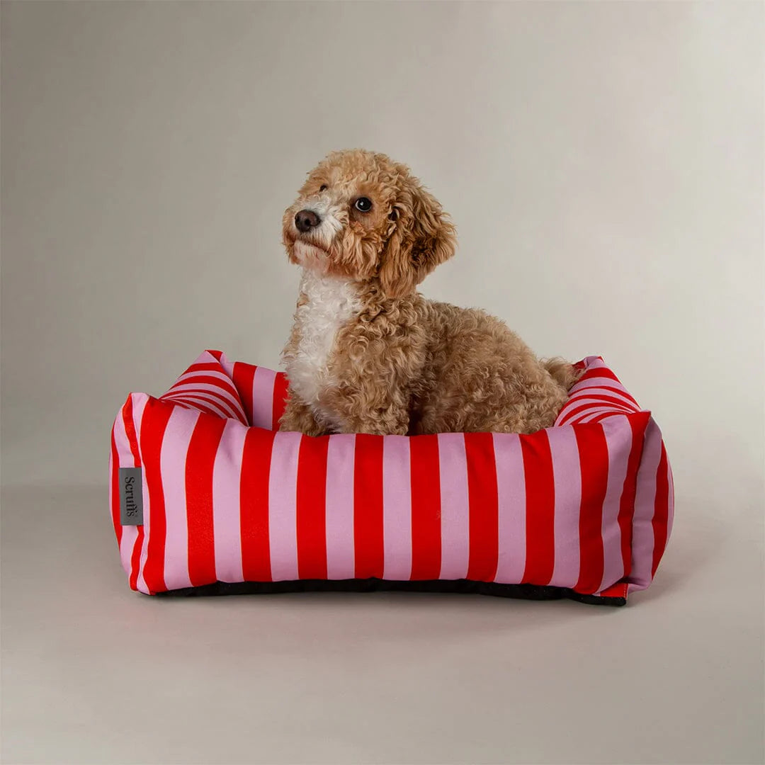 Scruffs Amalfi Box Bed M Pink Stripe - Washable Recycled Dog Bed