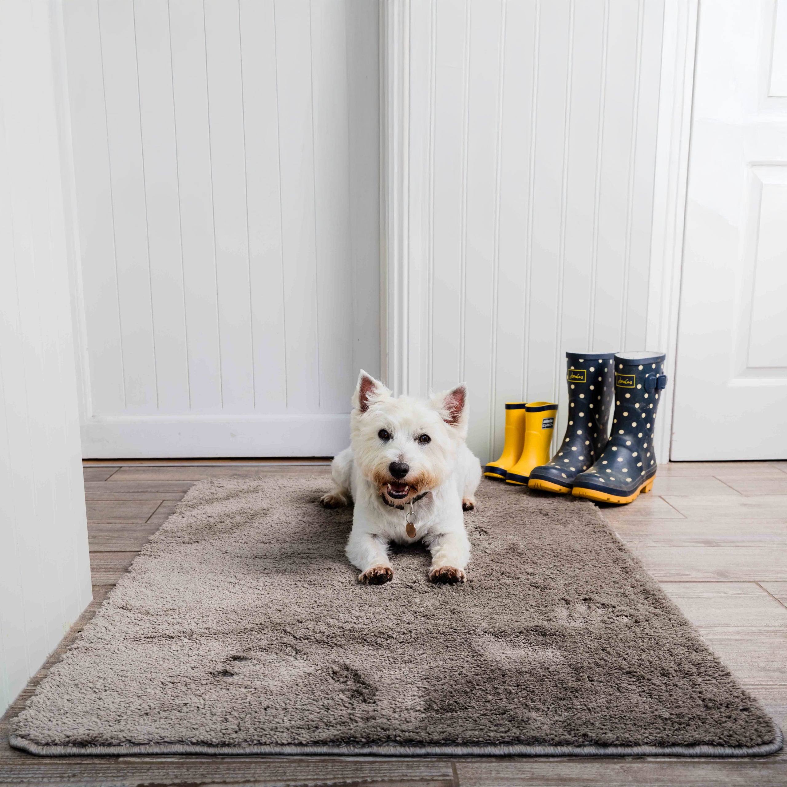 Pet Rebellion Big Softie Rug – Plain Taupe, 67 x 100cm Absorbent Dog Mat