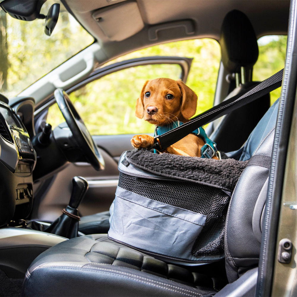 Henry Wag Pet Car Booster Seat