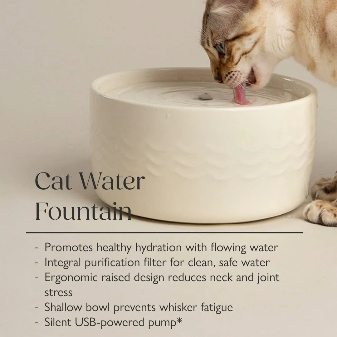 Scruffs 20cm Icon Cat Water Fountain Cream 1.5L