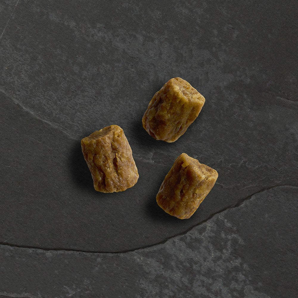 Canagan Wild Bites Beef & Pork for Dogs 60g