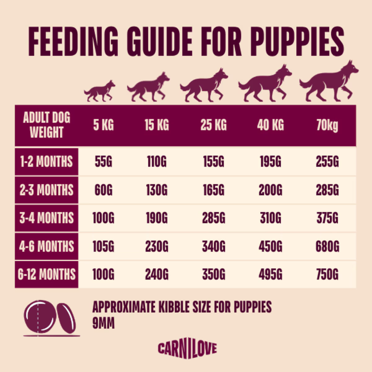Carnilove Active Salmon & Turkey Grain-Free Dry Puppy Food for All Breeds 1.5kg