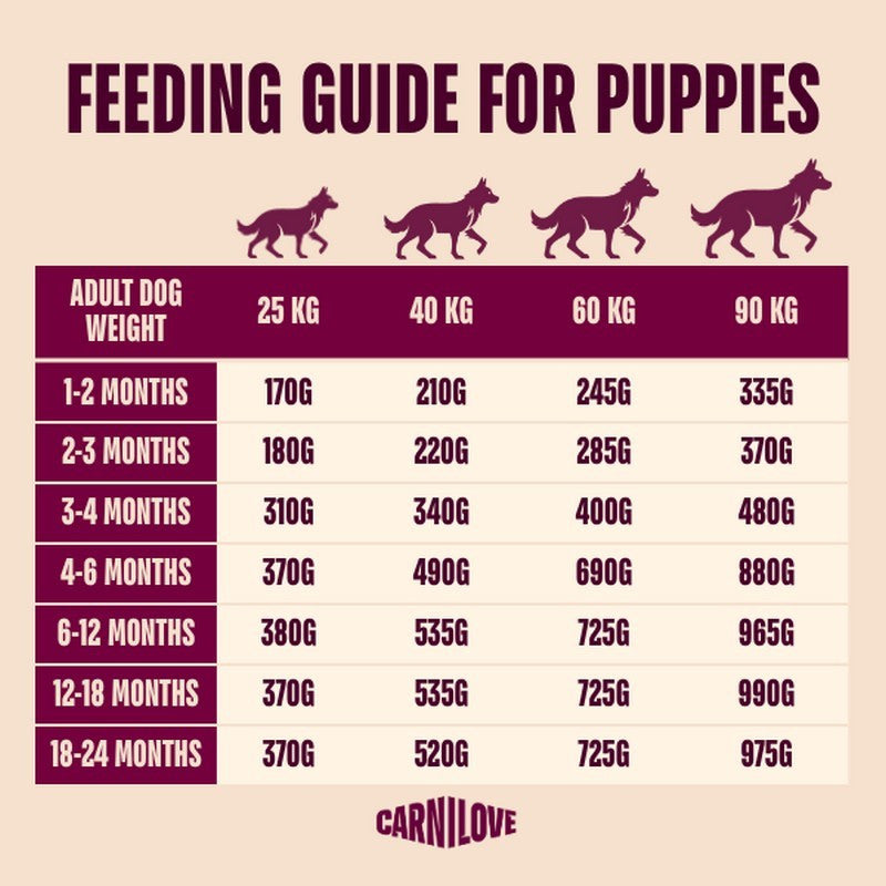 Carnilove Active Salmon & Turkey Grain-Free Dry Dog Food for Junior Large Breeds 1.5kg